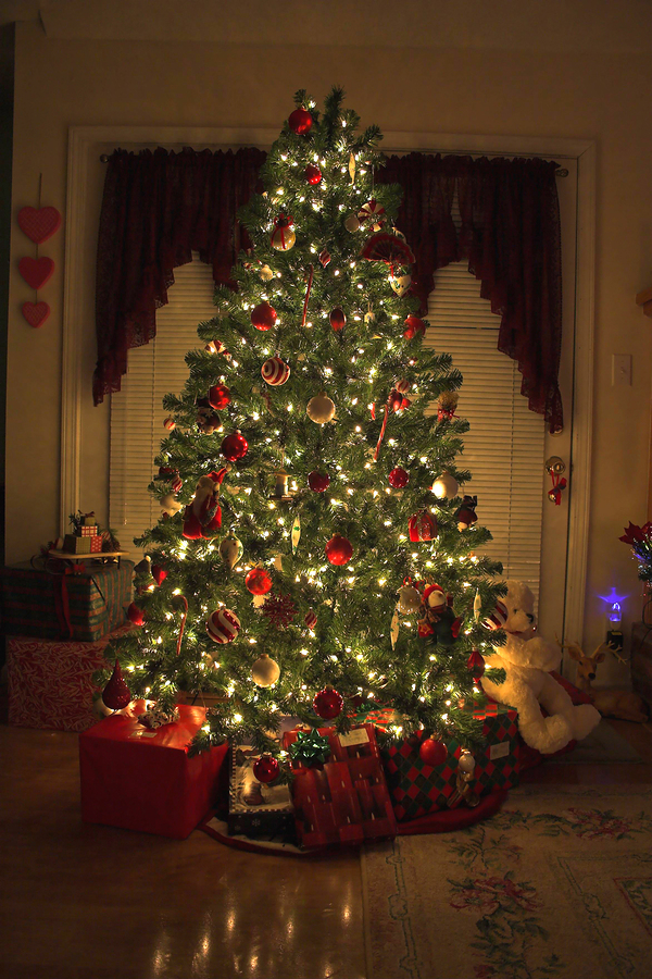 christmas tree in home