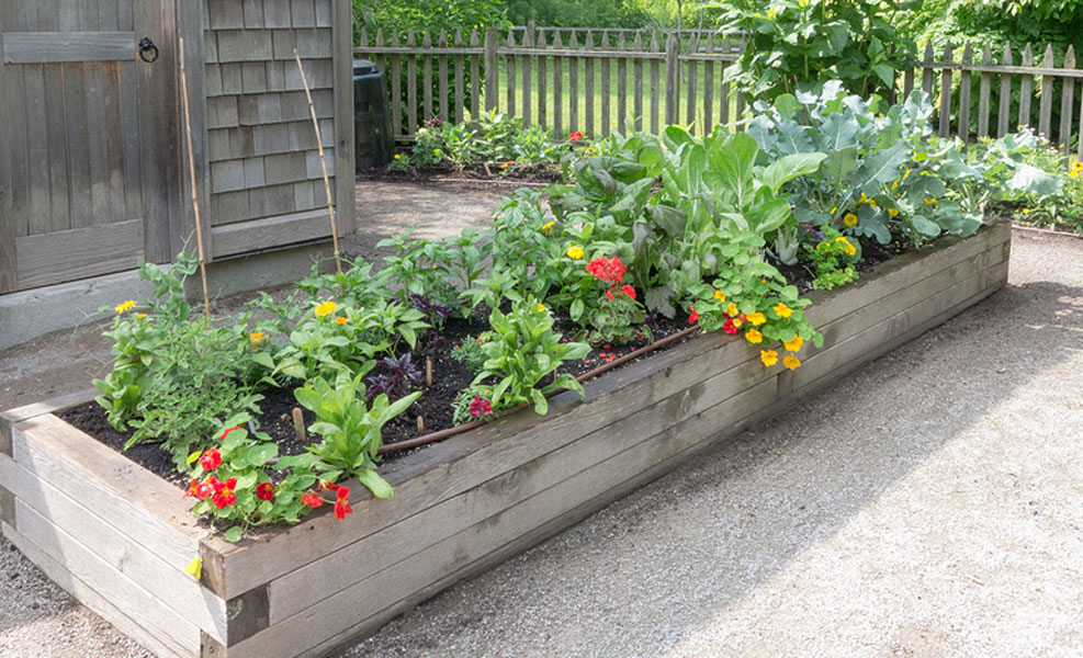 Four Raised Bed Design Ideas To Build This Spring