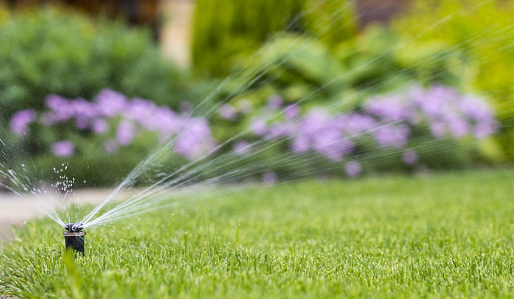 Smart Irrigation Conserves Water and Helps Lawns Thrive Terra Bella Garden Center