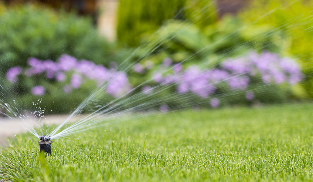 Smart Irrigation Conserves Water and Helps Lawns Thrive