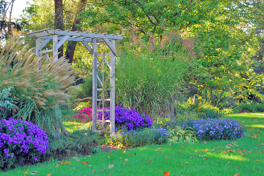 Growing the Right Plants is Key to a Successful Southern Fall Garden