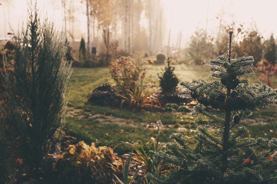 Late Season Tips to Help Your Garden Rest Through the Winter