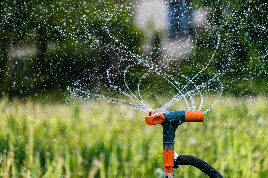 Conserve Water to Benefit your Landscape and Save Money
