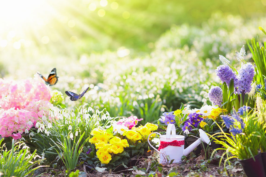 Get the Most Out of Your Spring Gardening with These Simple Tips