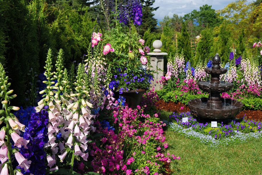 Pick the Right Flowers﻿ to Create the Picture-Perfect Yard